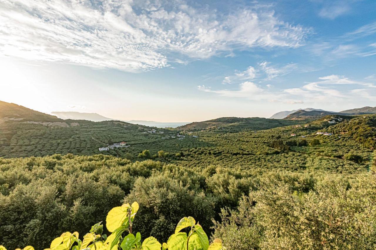 Rikanthos Stone Sea View Apartment Ι Falelianá Exteriör bild